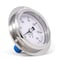 Pic Gauges 4 in Dial, 1/2 in NPT Male Lower Back Location, Stainless Steel Case Material PRO-314D-402H - alternate 2
