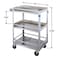 Lakeside Stainless Steel 3 Shelf Guard Rail Cart; 300 lb Capacity, 15-1/2"x24" 316 - alternate 5