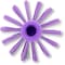 Sparta 4 in W Pipe and Valve Brush, Purple, Polypropylene 45004EC68 - alternate 7