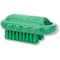 Sparta 2.25 in W Hand and Nail Brush, Green, Polypropylene 40020EC09 - alternate 1