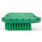 Sparta 2.25 in W Hand and Nail Brush, Green, Polypropylene 40020EC09 - alternate 3