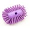 Sparta 5.25 in W Tank and Kettle Brush, Purple, Polypropylene 40041EC68 - alternate 2