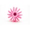 Sparta 4 in W Pipe and Valve Brush, Pink, Polypropylene 45004EC26 - alternate 2