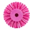 Sparta 5 in W Pipe and Valve Brush, Pink, Polypropylene 45005EC26 - alternate 4
