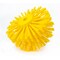 Sparta 7 in W Pipe and Valve Brush, Yellow, Polypropylene 45007EC04 - alternate 2