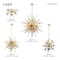 Livex Lighting Circulo 6 Light Satin Brass Pendant Chandelier 40074-12 - alternate 5