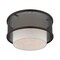 Livex Lighting Braddock 1 Light Bronze Ceiling Mount 41207-07 - alternate 5