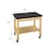 Diversified Spaces Demo Cart, Portable, Laminate Top, Maple, 1 Shelves, 24 in L, 36 in W, 30 in H PDC-2436 - alternate 4