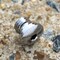 Speakman Screw 48-0355-RCP-P - alternate 2