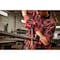 Milwaukee Tool & Equipment Bandfile Belts, 0.38 in W, 0.10 in L, Coated, Ceramic, 60 Grit, Coarse, Not Applicable, Blue, Red 48-80-7060 - alternate 9
