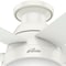 Hunter Decorative Ceiling Fan, Low Pro, 46 in Blade Dia, 5 Blades, 3 Speeds, 120, Fresh White 59269 - alternate 2