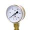 Pic Gauges 2 in Dial, 1/4 in NPT Lower Location, Highly Polished Copper Alloy Case Material 501D-UNO-204G - alternate 1
