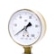 Pic Gauges Gauge, 2.5"0/100psi, 1/4"LM, Brass, UseNoOil, 2 1/2 in Dial, 1/4 in NPT Lower Location 501D-UNO-254E - alternate 1