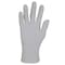Ansell Disposable Gloves, Beaded, Gray, 1700 PK 50709 - alternate 5