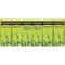 Bigelow Tea, Bags, Assorted, Green Tea, PK168 10578 - alternate 2