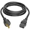 Tripp Lite Power Cord, HD, C19, L5-20P, 20A, 12AWG, 10ft P045-010 - alternate 4