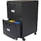 Storex File, Mobile, 2 Dwr, Bk 61312U01C - alternate 2
