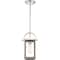 Nuvo Lighting Bliss 1-Light 60W Incandescent Mini-Pendant Fixture, Driftwood / Polished Nickel Accents Finish 60/6484 - alternate 5