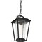 Nuvo Lakeview 1-Light - Hanging Lantern - Aged Bronze Finish with Clear Seed Glass 60/6514 - alternate 2