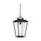 Nuvo Lakeview 1-Light - Hanging Lantern - Aged Bronze Finish with Clear Seed Glass 60/6514 - alternate 1