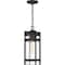 Nuvo Tofino - 1-Light - Hanging Lantern - Textured Black Finish with Clear Glass 60/6574 - alternate 4