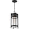 Nuvo Tofino - 1-Light - Hanging Lantern - Textured Black Finish with Clear Glass 60/6574 - alternate 2