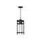Nuvo Tofino - 1-Light - Hanging Lantern - Textured Black Finish with Clear Glass 60/6574 - alternate 1