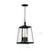 Nuvo Halifax - 4-Light - Hanging Lantern - Matte Black Finish with Clear Glass 60/6584 - alternate 6