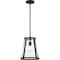 Nuvo Bruge 1-Light Pendant Fixture - Matte Black Finish with Clear Glass 60/6699 - alternate 7
