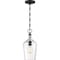 Nuvo Hartley 1-Light Pendant Fixture Matte Black Finish with Clear Glass 60/6749 - alternate 4