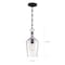Nuvo Hartley 1-Light Pendant Fixture Matte Black Finish with Clear Glass 60/6749 - alternate 2