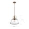 Nuvo Basel 1-Light Pendant Fixture - Burnished Brass Finish with Clear Glass 60/6757 - alternate 7