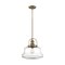 Nuvo Basel 1-Light Pendant Fixture - Burnished Brass Finish with Clear Glass 60/6757 - alternate 1