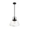 Nuvo Basel 1-Light Pendant Fixture - Aged Bronze Finish with Clear Glass 60/6759 - alternate 1