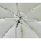 Shax Umbrella, Lime, 84 in. 6100 - alternate 6