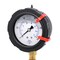 Pic Gauges 2 1/2 in Dial, 1/4 in NPT Lower Location, polypropylene Case Material 701L-254E - alternate 1