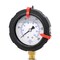 Pic Gauges 2 1/2 in Dial, 1/4 in NPT Lower Location, polypropylene Case Material 701L-254G - alternate 1