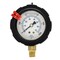 Pic Gauges 2 1/2 in Dial, 1/4 in NPT Lower Location, polypropylene Case Material 701L-254M - alternate 2