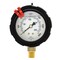 Pic Gauges 2 1/2 in Dial, 1/4 in NPT Lower Location, polypropylene Case Material 701L-254P - alternate 3