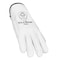 Tillman Leather Drivers Gloves, Wing Thumb, Gunn Cut, Pearl, S 1 PR 764S - alternate 3