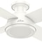 Hunter Decorative Ceiling Fan, Low Pro, 52 in Blade Dia, 4 Blades, 3 Speeds, 120, Fresh White 59248 - alternate 6
