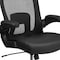 Flash Furniture Contemporary Office Chair, Black Back, 31-1/2 in W 28-1/2" L 47-1/2" H, Padded Flip-up BT-20180-LEA-GG - alternate 9