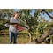 Craftsman 6 in L Cordless Battery-Powered Chainsaw Kit, Battery Included CMCCSL621D1 - alternate 8
