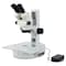Lw Scientific Stereoscope, 7x-45x, Embryo Z4M-BZM7-EML3 - alternate 2