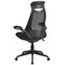 Flash Furniture Contemporary Chair High Back Exec Mesh Chair, Black, Adjustable Arms, 18-1/2" to 21" Height, Mesh HL-0018-GG - alternate 8