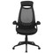 Flash Furniture Contemporary Chair High Back Exec Mesh Chair, Black, Adjustable Arms, 18-1/2" to 21" Height, Mesh HL-0018-GG - alternate 10