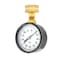 Pic Gauges Hose Gauge, 2-1/2", 0-300 psi, 3/4" Connect, 2 1/2 in Dial, 3/4 in FNPT Top Location HOSE - alternate 1