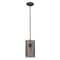 Acclaim Lighting Loft 1-Light Pendant Oil Rubbed Bronze, Height: 10-1/4" IN21203ORB - alternate 1
