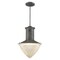 Acclaim Lighting Skylar 1-Light Pendant Ash IN21375ASH - alternate 2
