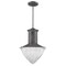 Acclaim Lighting Skylar 1-Light Pendant Ash IN21375ASH - alternate 1